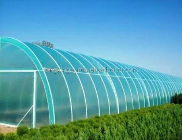 Large Size High Tunnel Agricultural Greenhouse film for Tomato growing