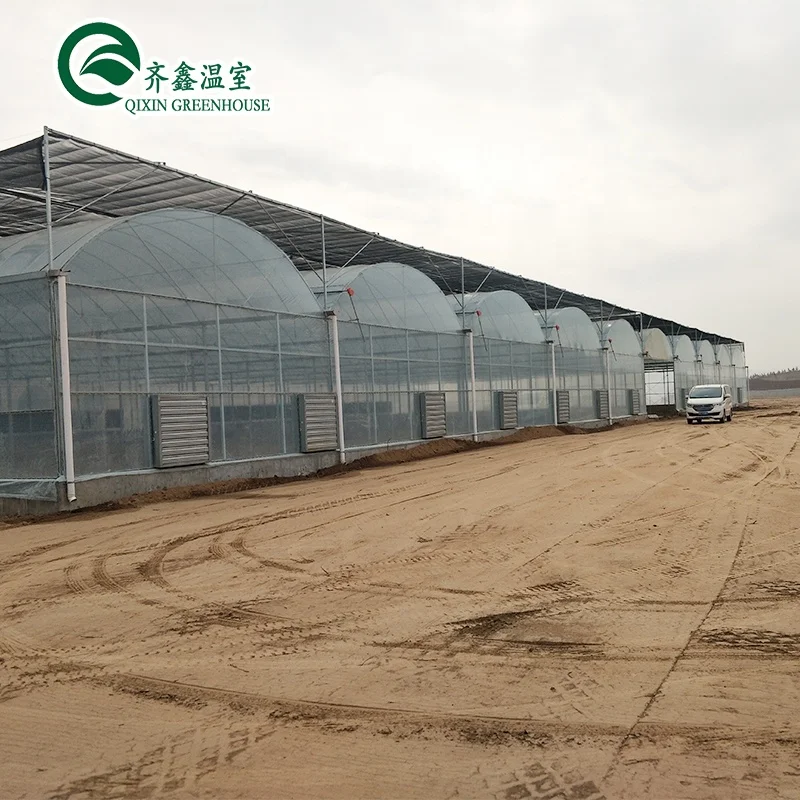 China agricultural  Greenhouse with seeding machine
