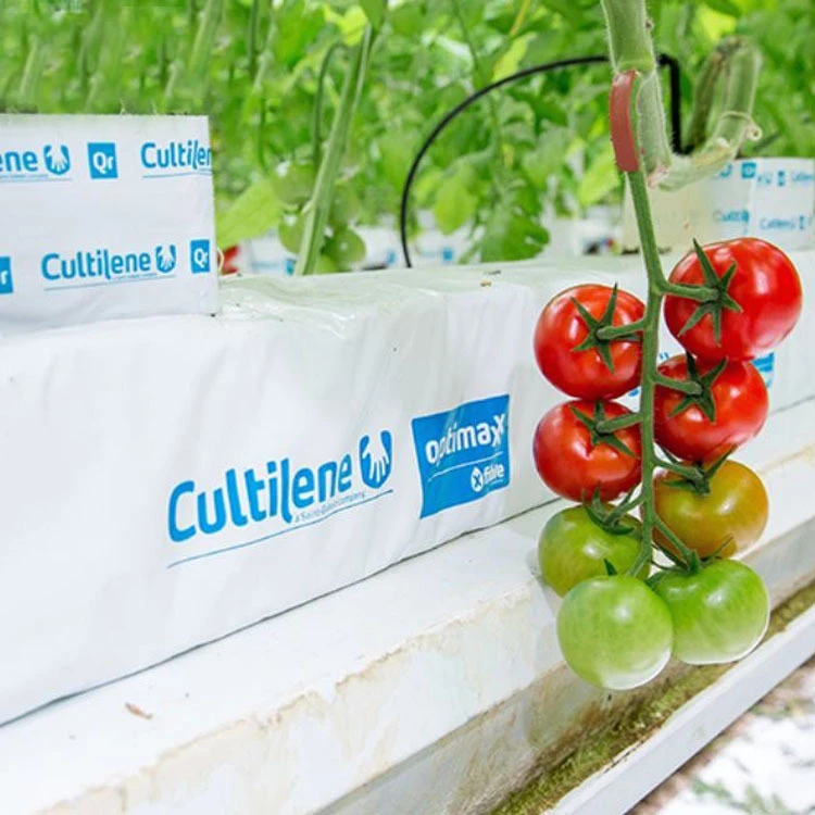 Hydroponics Aquaponic System Vertical Growing Media Rock Wool Blocks Cubes