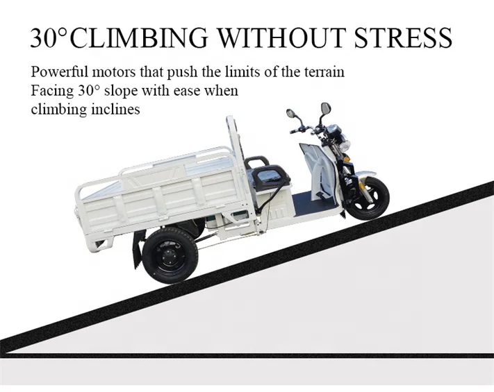 China Made High Quality Cargo Bike Electric Truck Three Wheel Electric Motorcycle with CE