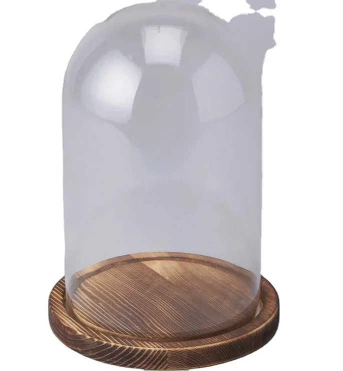 Custom Made Clear Decorative Borosilicate Glass Cloche Dome With Wood Base For Home Decoration