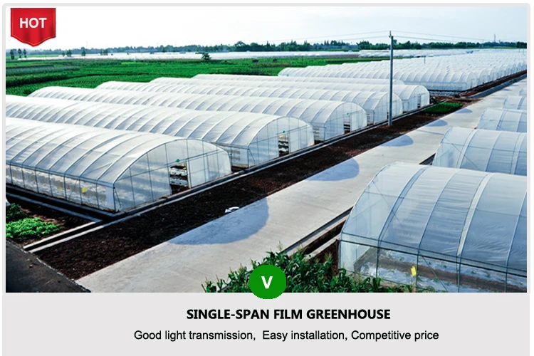 single-span greenhouse