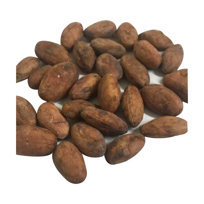 High Grade Hot Sale Natural Fermented And Dried Cheap Bulk Organic Peruvian Cacao Cocoa Beans From Peru