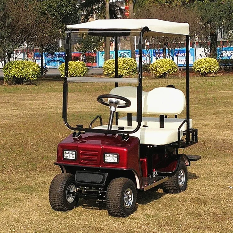 Hot sale 2 seats mini electric golf cart kids golf scooter and golf cart parts