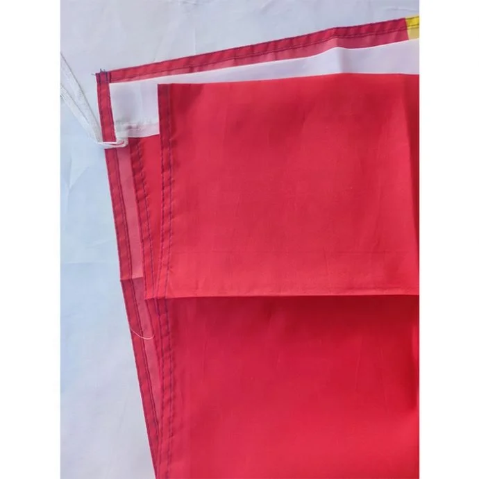 Wholesale Advertising Outdoor Indoor 100D Polyester Fabric Large Size 3X5 Customized Logo Campaign Custom Flags