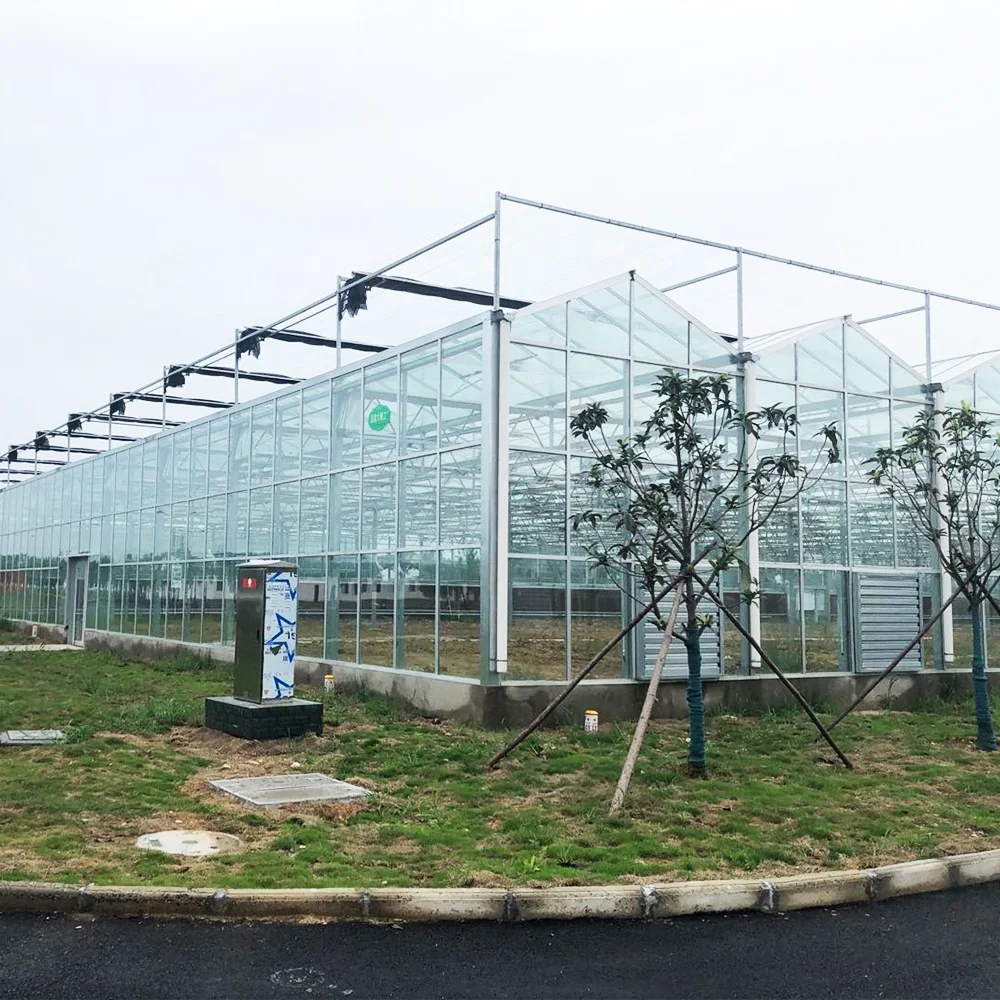  Многопролетная стеклянная теплица Harvest Vale Venlo сельскохозяйственная для выращивания овощей цветов лекарственных