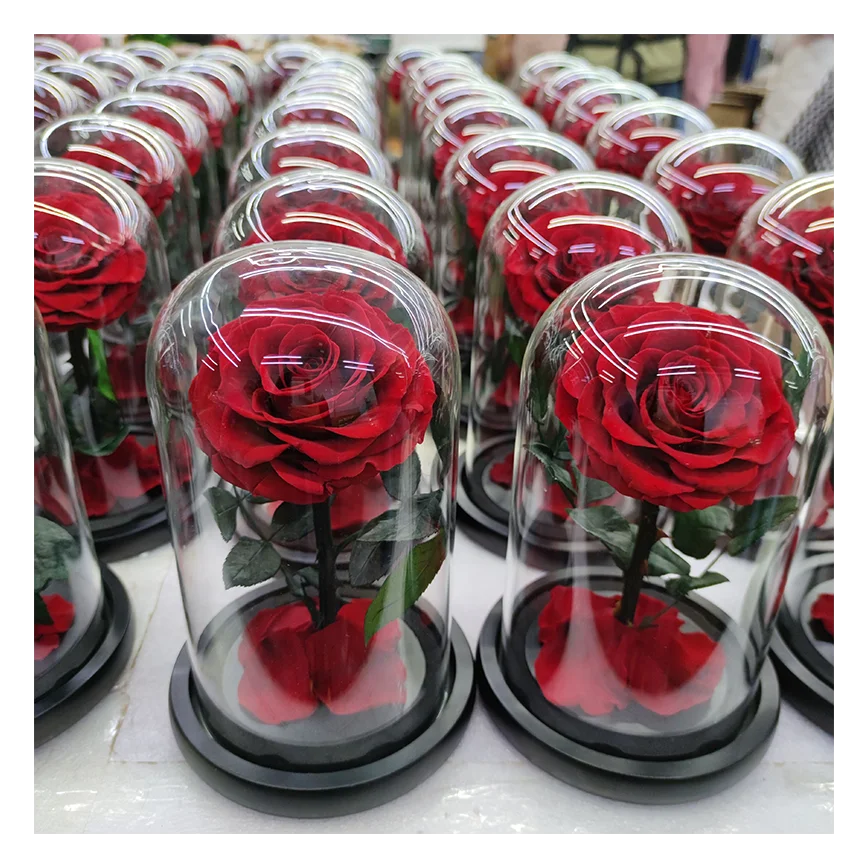 elegant decorative preserved rose preserved flower glass dome heart design preserved rose flower in glass heart dome