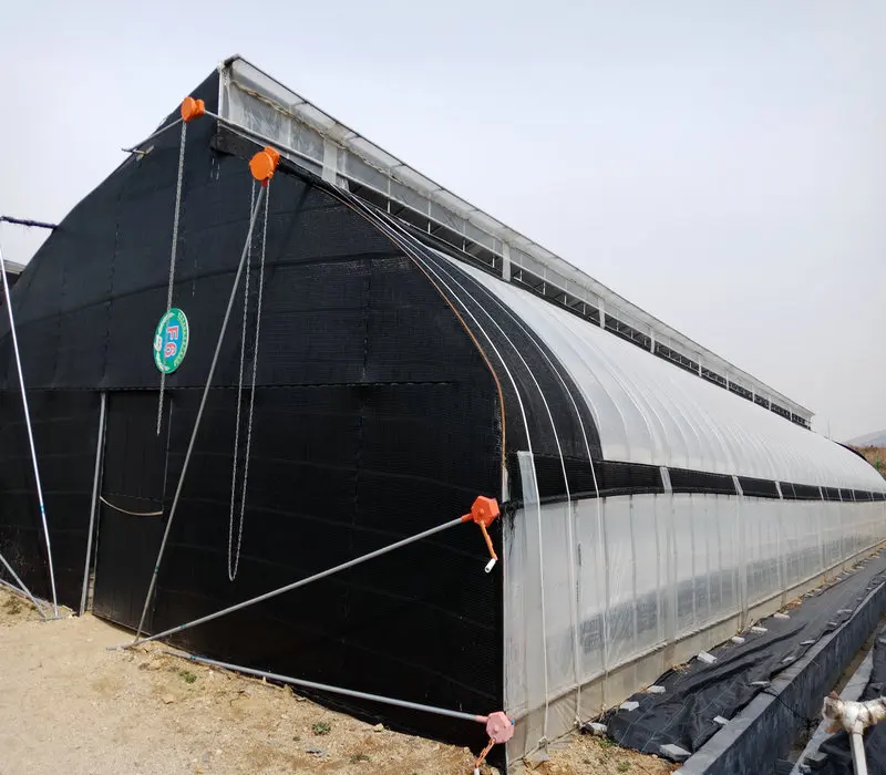 Mushroom caterpillar tunnel greenhouse in factory price
