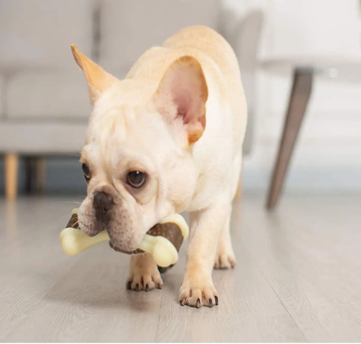 Eco-Friendly Beef Flavor Dog Teething Chew Toys Bones Pet Molar Food Toy Pet Chewing Feeding Toys