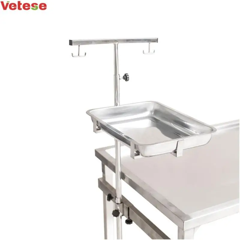 Medical Veterinary Surgical Equipment Animal Dissecting Table Stainless Steel Simple