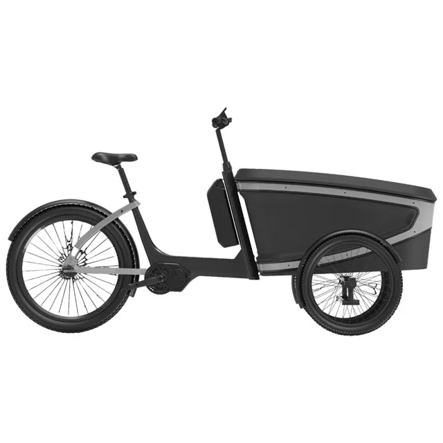 Оптовая продажа заводская цена 48 В 250 Вт 10Ah педаль ассистент 3 колеса Электрический Реверсивный Трайк