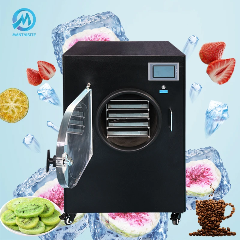 Multi function automatic food vacuum freeze dryer lyophilizer for home use