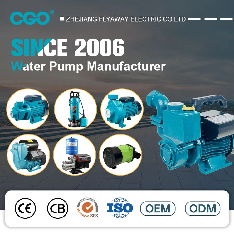 QB QB60 QB80 мини 0.75HP 1HP автоматический домашний Электрический центробежный насос высокого давления воды для орошения