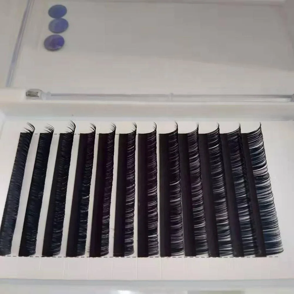 Factory Directly Provide eyelash tray suppliers individual natural ellipse soft volume eyelash extensions