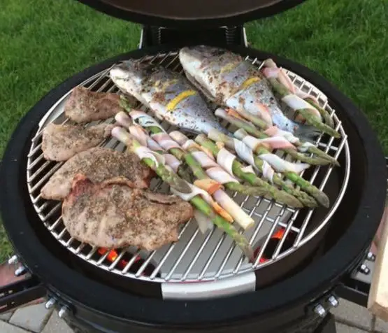 TOPQ 27 Inch grill machine for garden kamado bbq grills outdoor