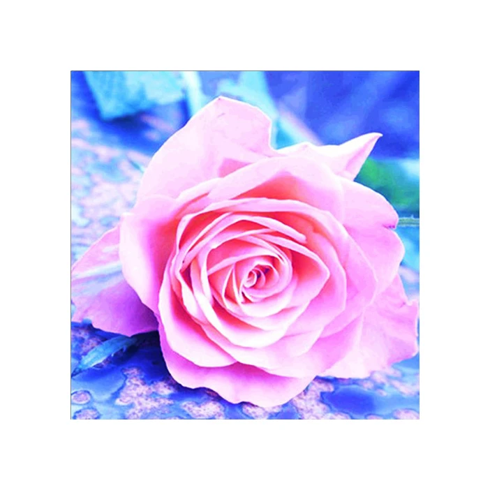 
Diamond Painting 5D DIY Paintings Decoration Red Rose Cross Stitch Kit Home Decor Diamond Embroidery Mosaic Diamond Flowers 