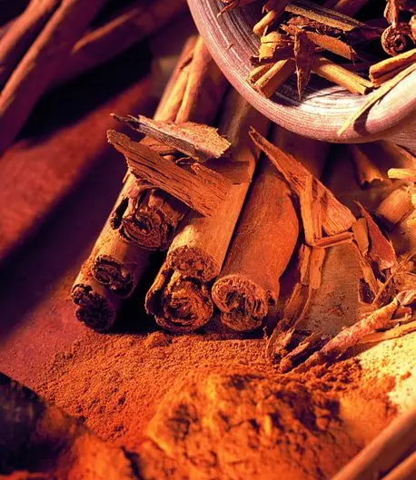 13,5g Cinnamon sticks Cassia Giuseppe Verdi Selection Spices