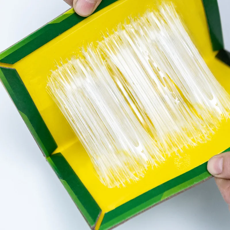 Wholesale Indoor/Outdoor Easy-to-Set Large Mouse Glue Traps Sticky Pest Control Rat Snake Cockroach Office Space US Sheet Size