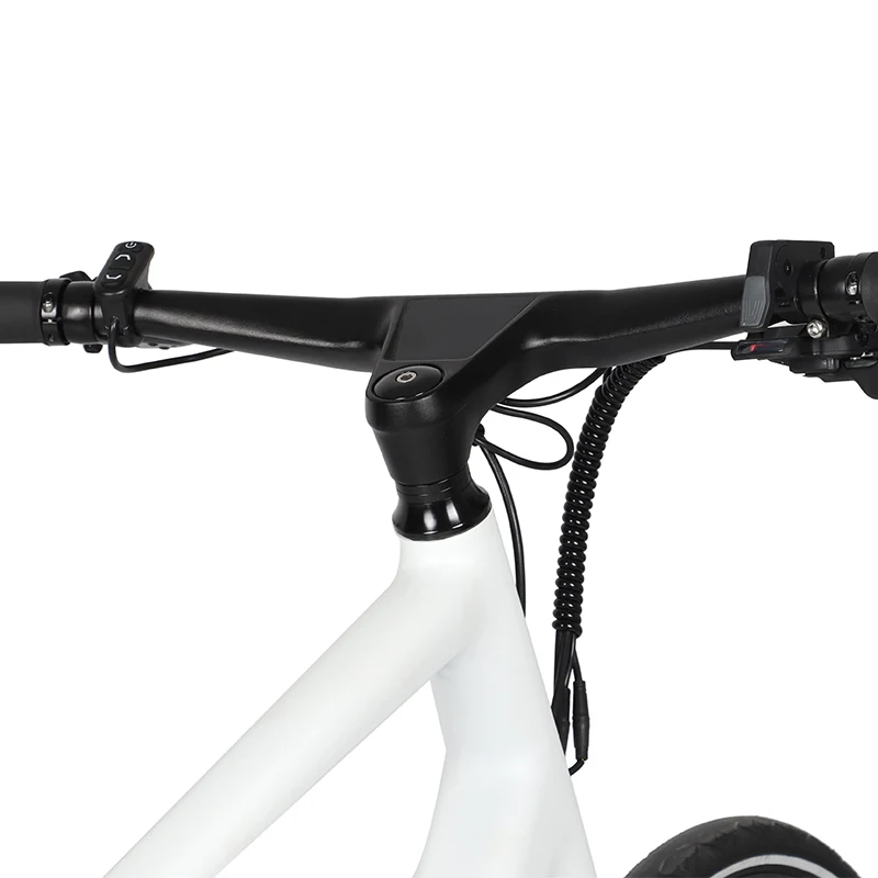 van moof ebike Electric Bicycle vanmoof style adult Trekking electric city bybrid road bike Belt Drive ebike Electric Bike