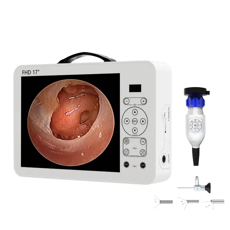 17 inch medical portable full hd integrated endoscopic camera and monitor system