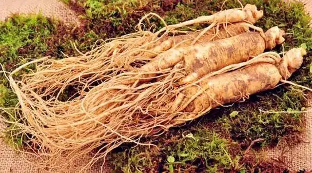 
Buy 100% nature pure korean red ginseng root panax ginseng extract powder tea Ginsenosides drink bulk price 