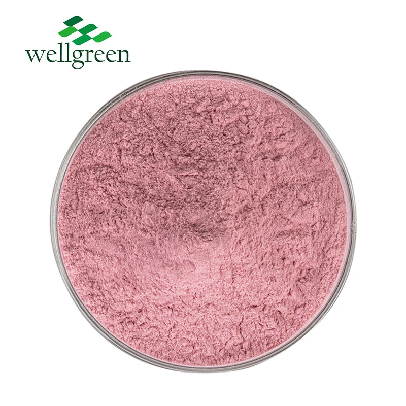 Wellgreen USDA Certified 100% Natural  Pomegranate Fruit Powder