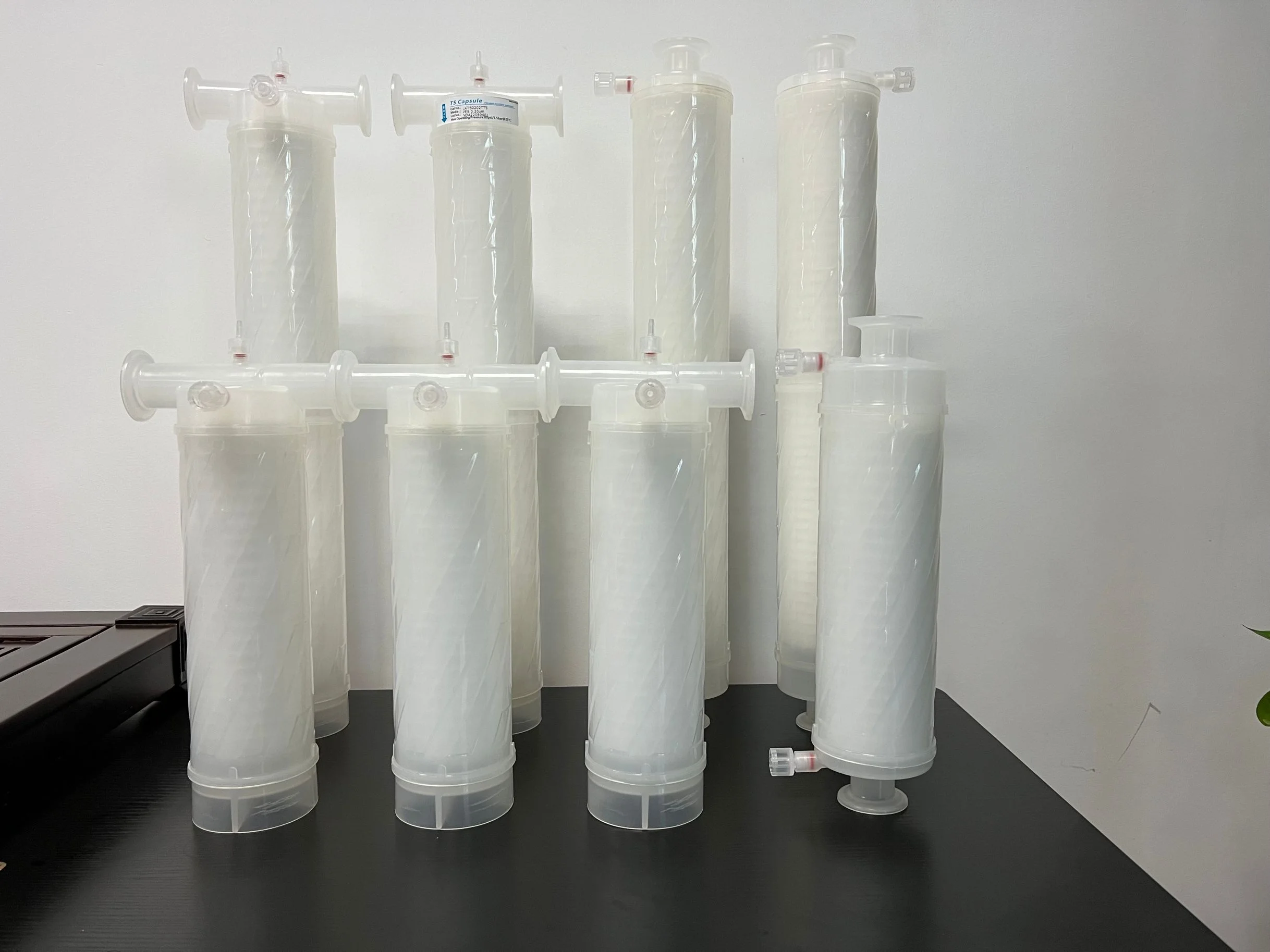 K68B-2N-M10 2.5' PES Membrane Capsule Filter for Laboratory Solution