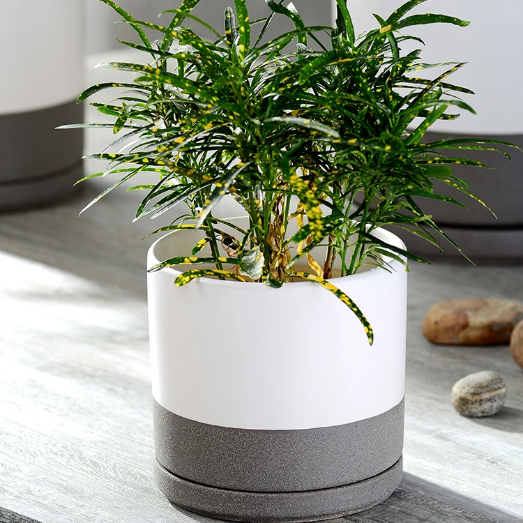 Cheap Desktop Indoor Decorative Potted Plant Pots Planters for Succulent Plants