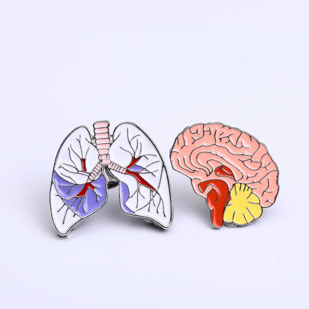 Heart Human Organ Lung Brooch Corsage Brain Eye Lung Brooch Oil Drop Badge Wholesale