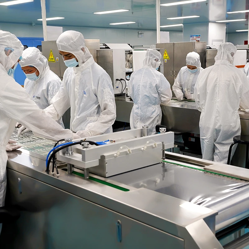 Swab Collection Kits For Dna Buccal Dna Sampling Swabs Disposable Medical Sterile Flocked Oral Swabs