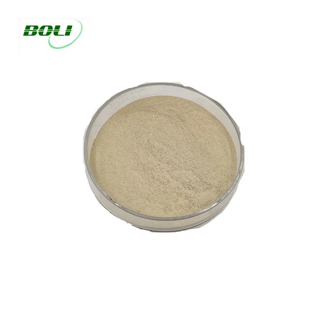 Baking Ingredients Neutral Protease Powder  Enzyme
