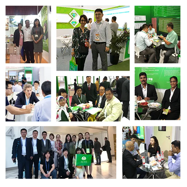 AUVO Sell 85% Saw Palmetto Fruit Extract Oil Fatty Acids Oil Saw Palmetto Oil