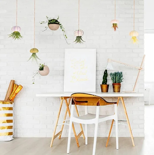 Hanging Sea Urchin Hanging Air Plant Stand Mini Shell Hanging Pots Various Colors