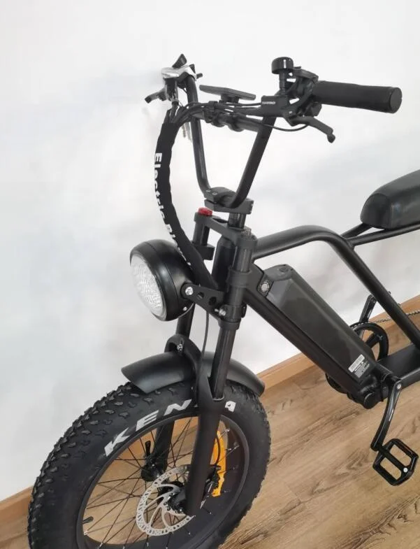 QUEENE/1000w Big Power Fat Tire Electric Bike/snow Ebike/ super electric Beach Cruiser Bicycle