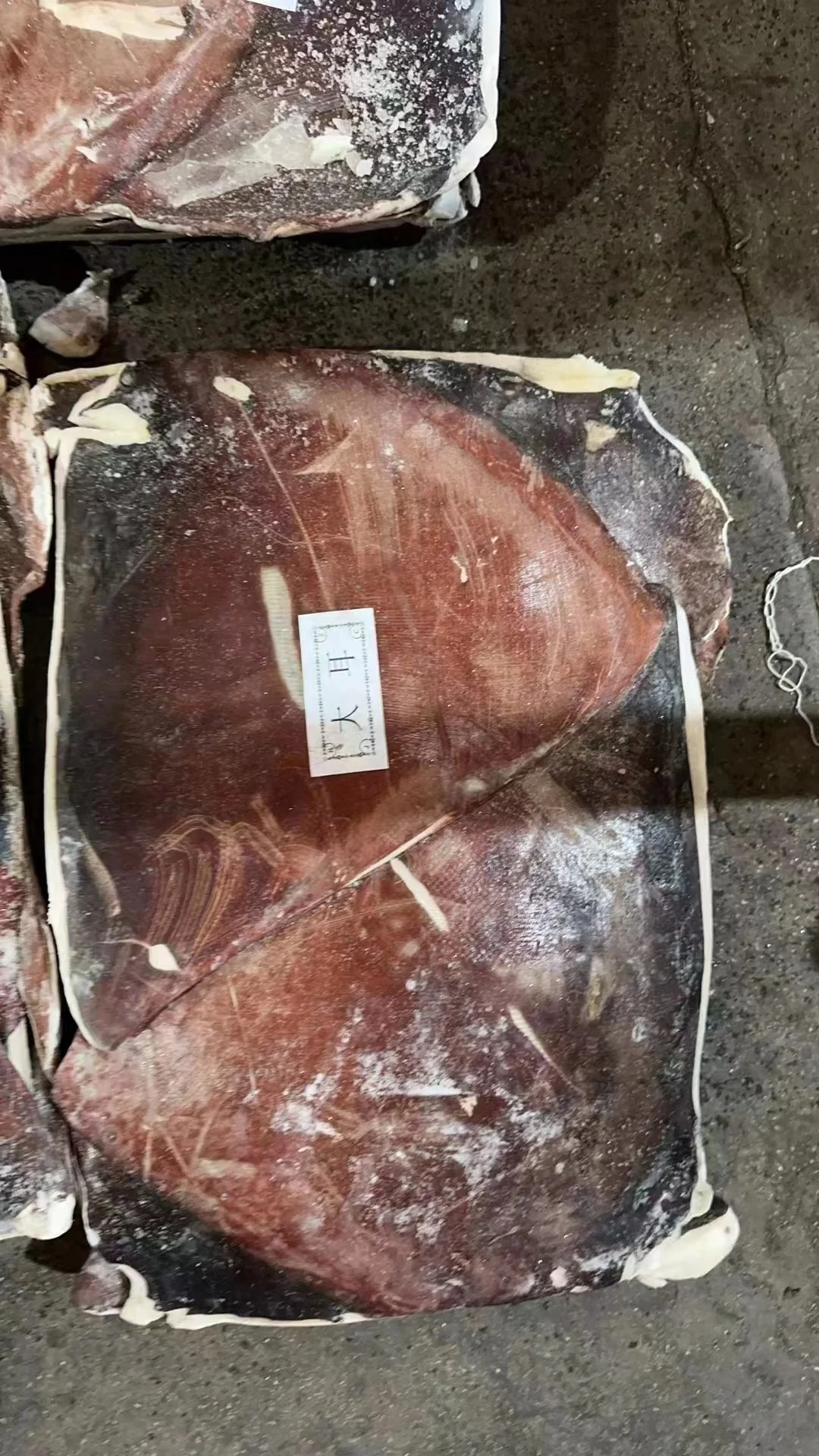 Peru squid dosidicus gigas  wings With skin  dosidicus gigas wings Peru Squid wings with skin Skin on