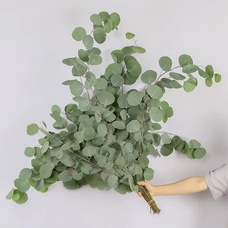 UO Amazon Top Seller Decoration Dried Flowers Bouquet Eucalyptus leaves Arrangement For Home or Weddings Decoration