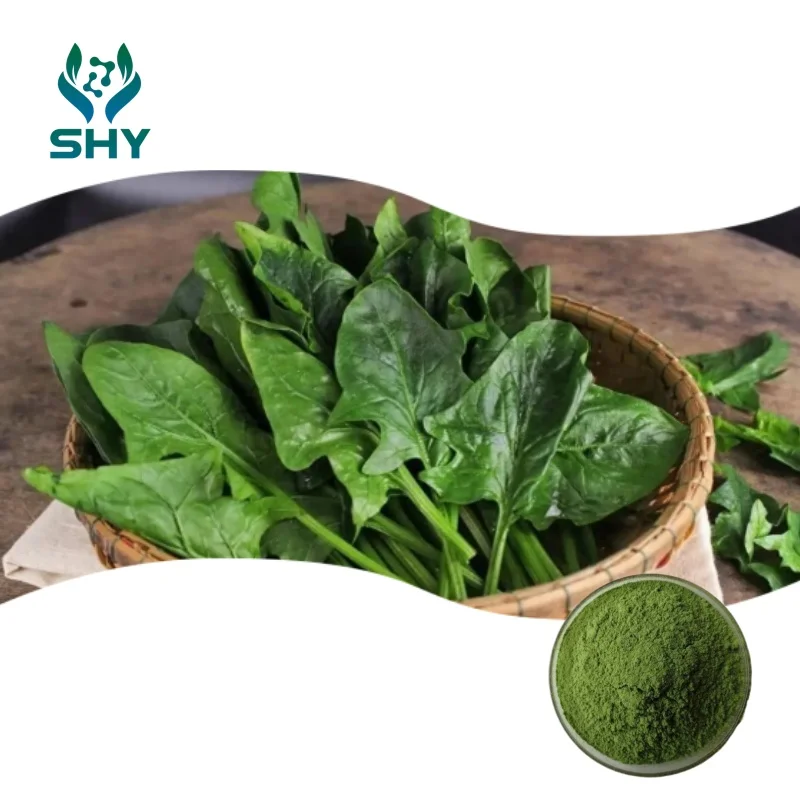 Factory direct vegetable powder/Spinach Powder/freeze dried spinach powder