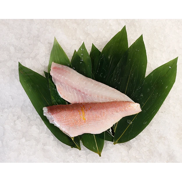 Fillet of Talefish(Amadai)
