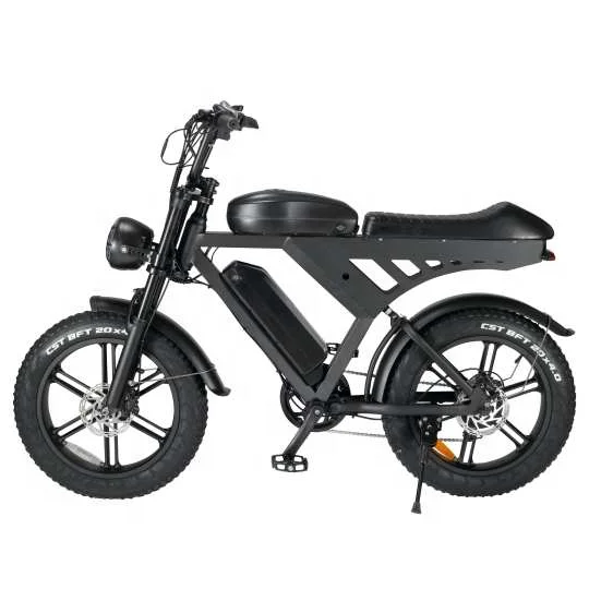 20*4inch V30 Fatbike electric  city  bike dirt ebike delivery e bike  bicycle electric bicycle 2 battery  Long mileage  off road