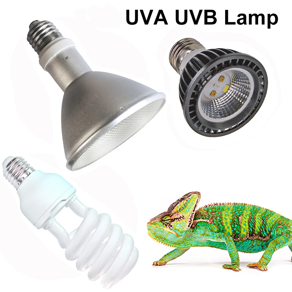 Foldable Reptile Terrarium Cage Large Reptile Snake Enclosure Extra Large Reptiles Habitat Chameleon Breeding Cages Enclosure