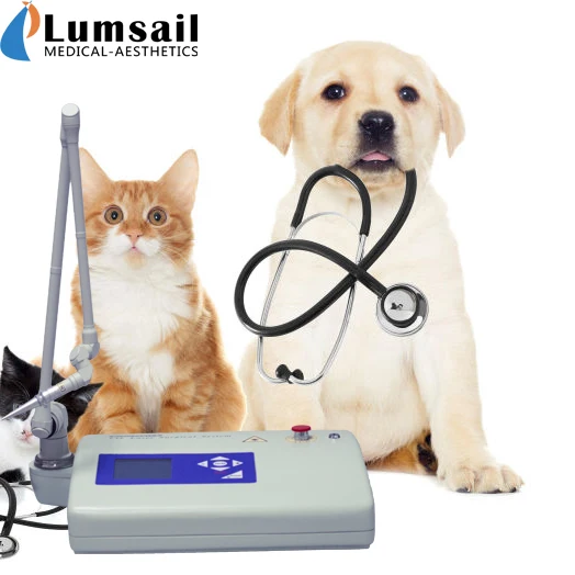 CO2 laser for pets dog Surgery for Veterinary clinic