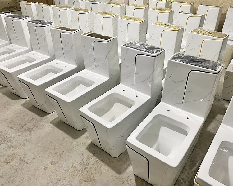 Ceramic Sanitary Ware WC Once Piece White And Gold Toilet With Integrated Sanitary Ware Toilet