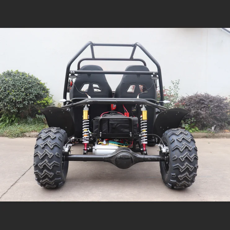 PHYES 60V 5000W 50AH Lead-Acid Brushless Motor off road Electric Go Kart/BUGGY for Adult