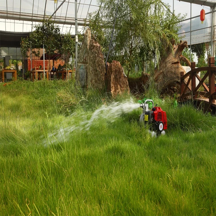 52cc 2hp chinese gasoline powered water pump