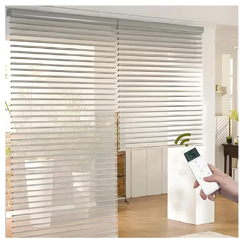 Automatic Motorized Control Light Filtering Shade Sheer Blinds Cordless Double Layer Roller Shades Shangri-la Blinds