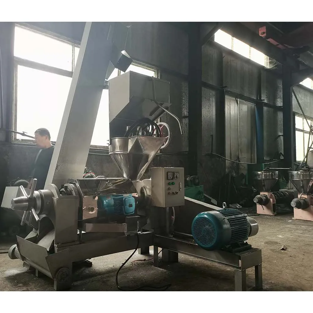 15-20 ton/day industrial cold press palm kernel oil extraction machine HJ-P165