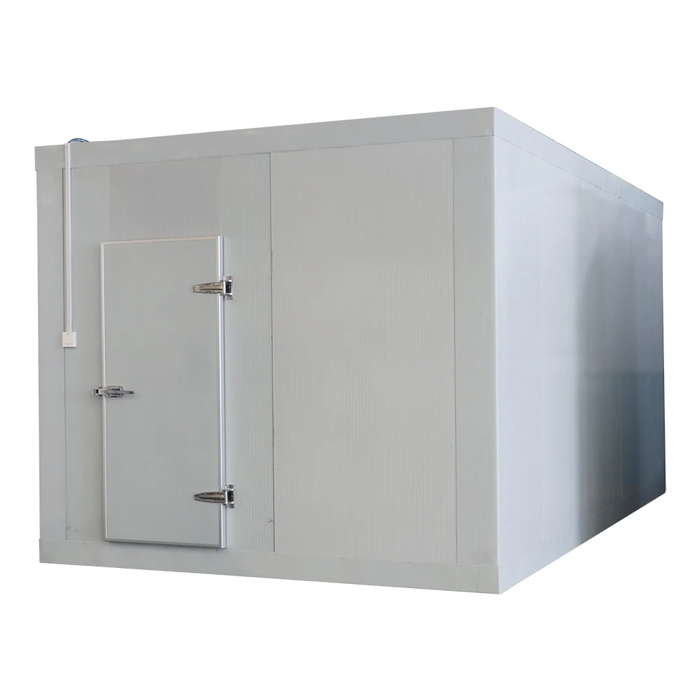 20ft 40ft cold storage refrigerator freezer vegetable fruit meat container cold room large freezer walk-in