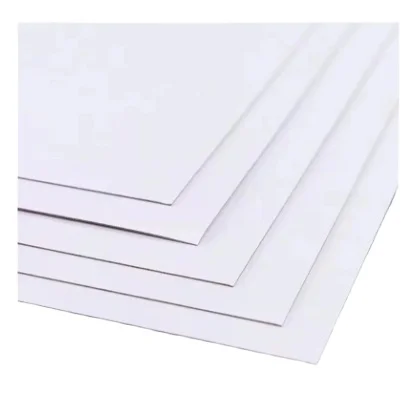Zenith brand High Bulk C1S/Coated  Ningbo Fold FBB/Folding Box Board/Ivory Board from APP mill