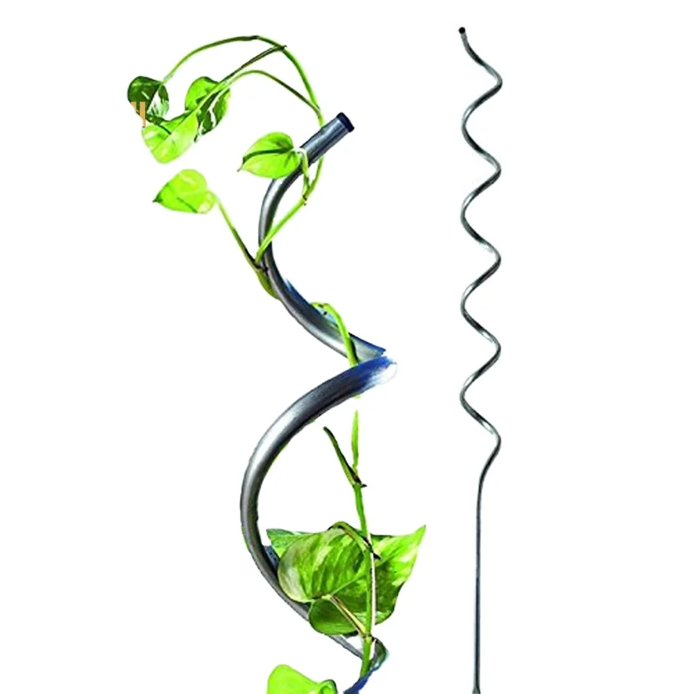 6mm galvanized tomato spiral rod tomato spiral stick tomato for garden