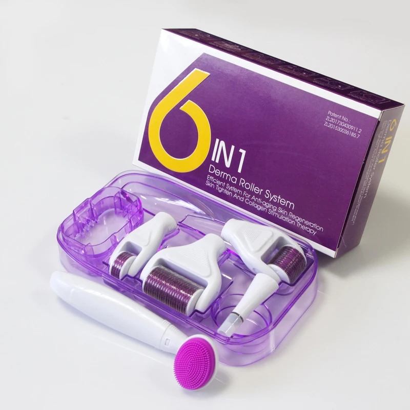 Hot selling 6 in 1 Micro Needle Skin Care Derma Roller Kit 1200 Microneedle Dermaroller For Hair Growth